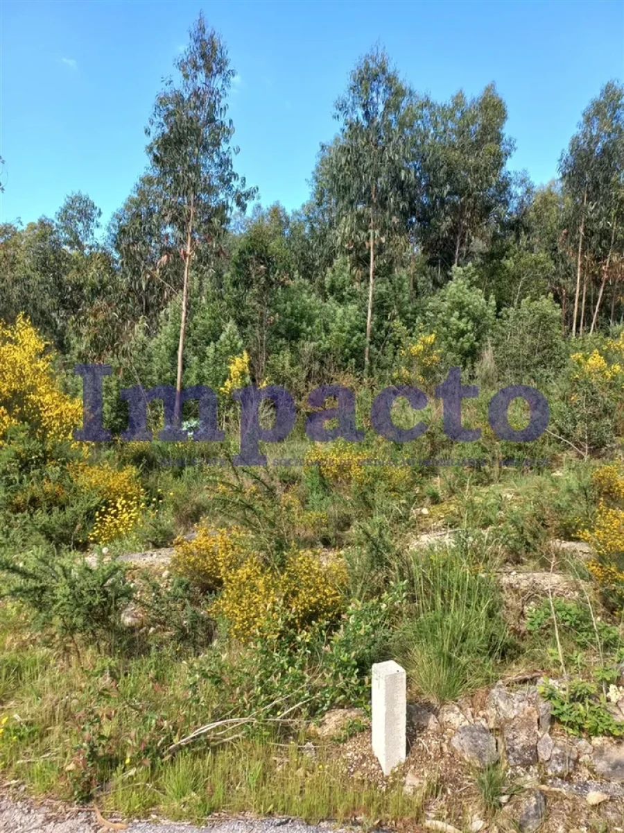 Terreno para Venda em Escariz Foto 5