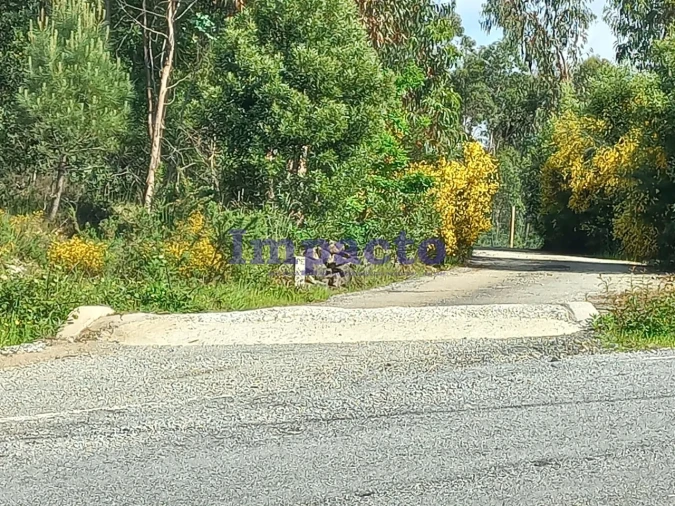 Terreno para Venda em Escariz