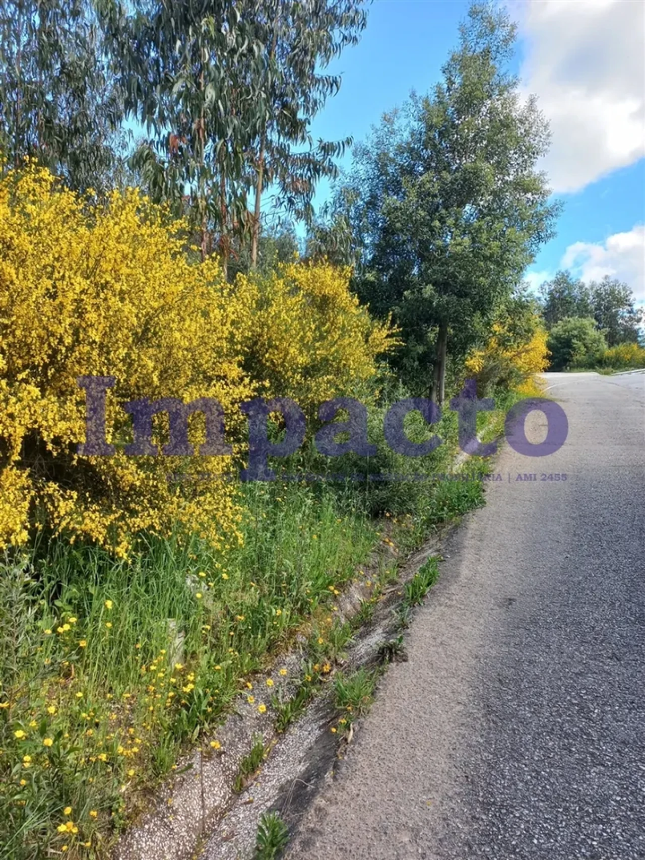 Terreno para Venda em Escariz Foto 6