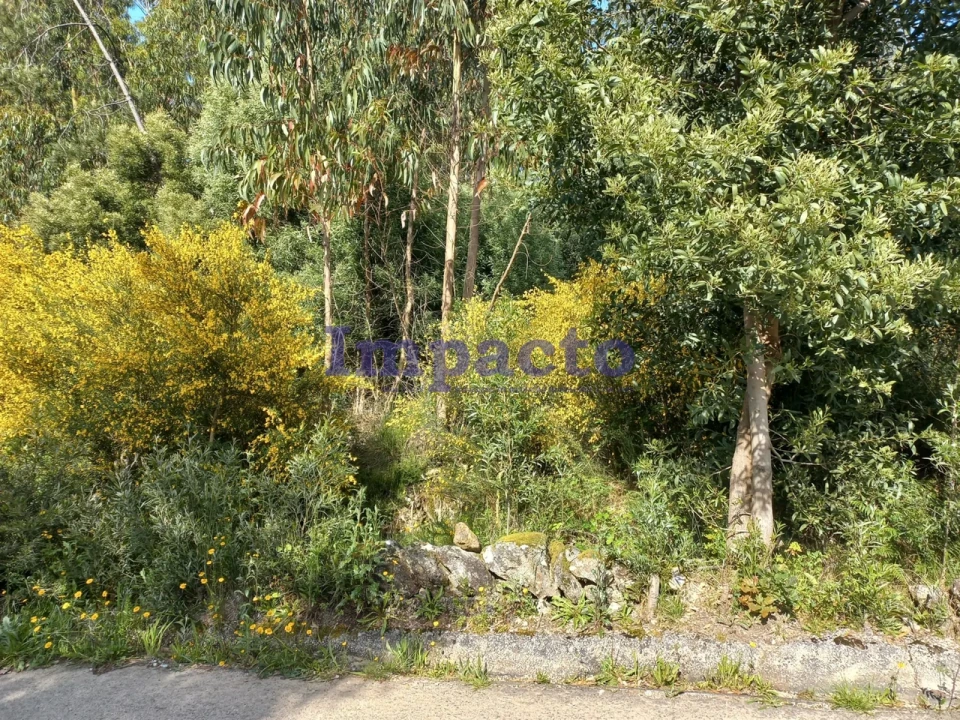 Terreno para Venda em Escariz Foto 3