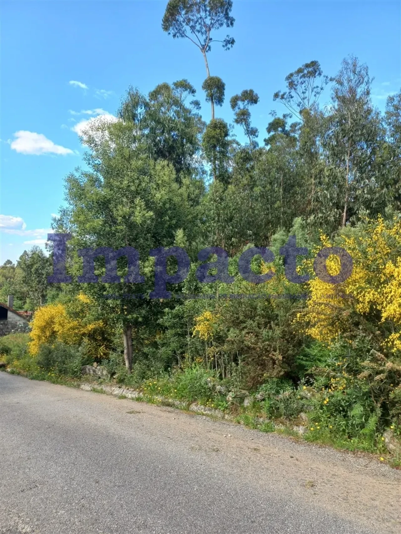 Terreno para Venda em Escariz Foto 8