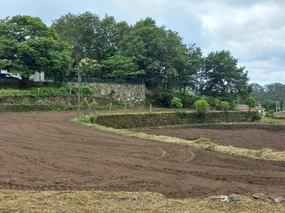 Terreno para Venda em Escariz Foto 2