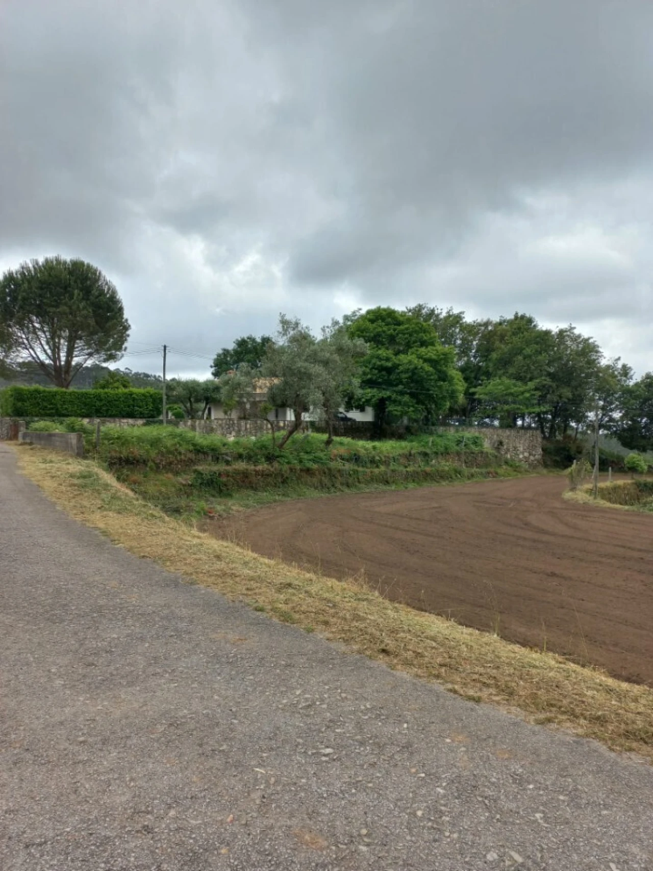 Terreno para Venda em Escariz Foto 4