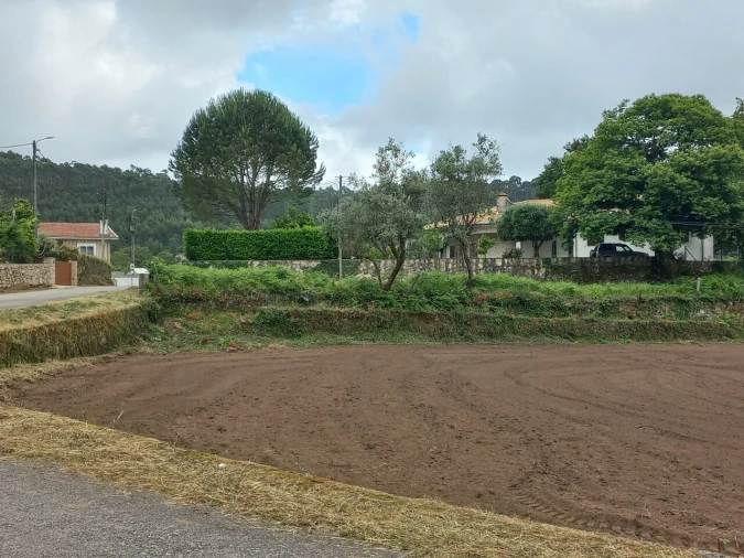 Terreno para Venda em Escariz Foto 1