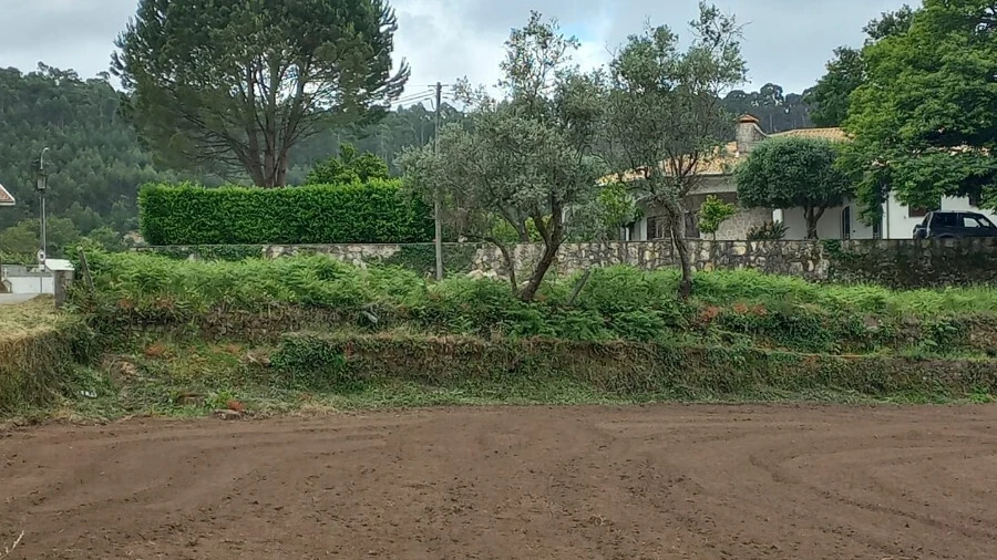 Terreno para Venda em Escariz