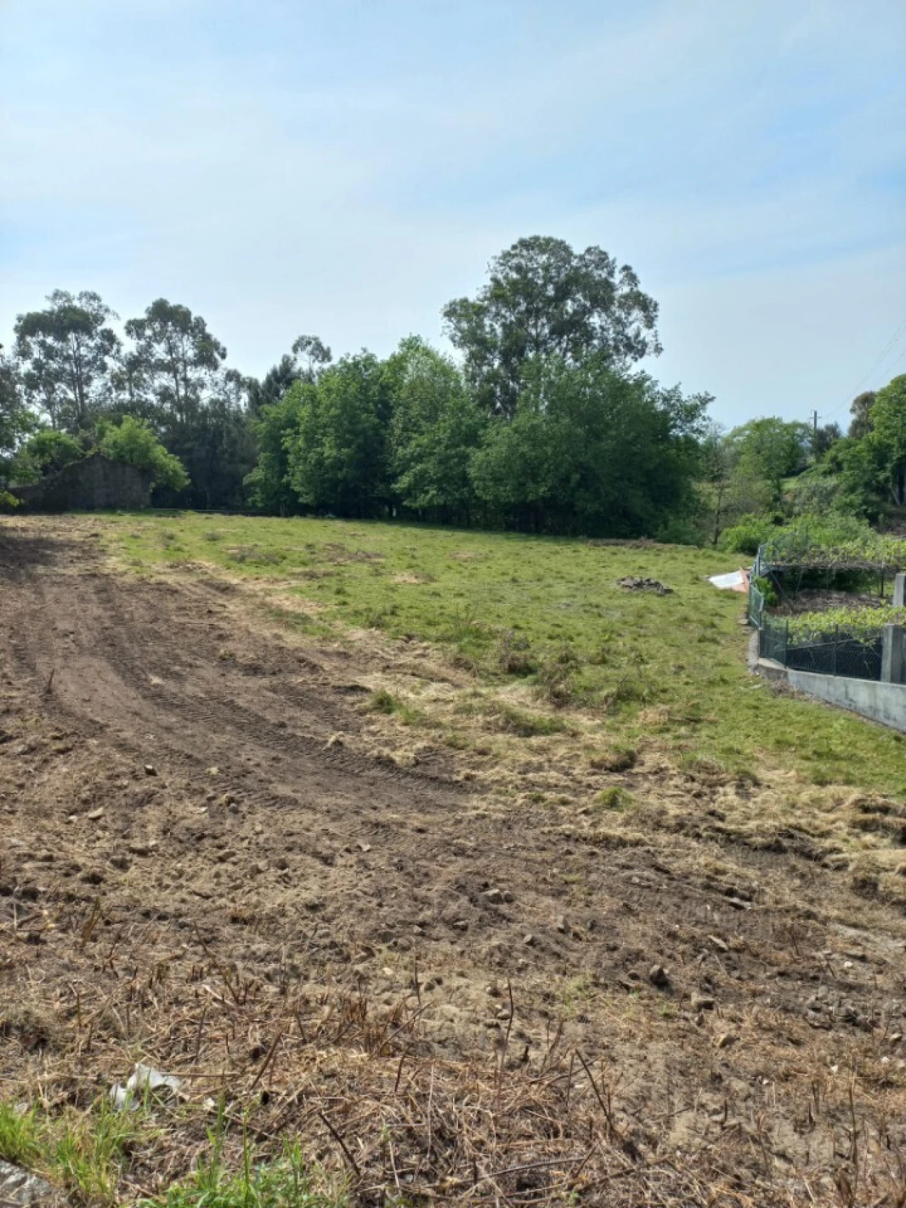 Terreno para Venda em Escariz Foto 2