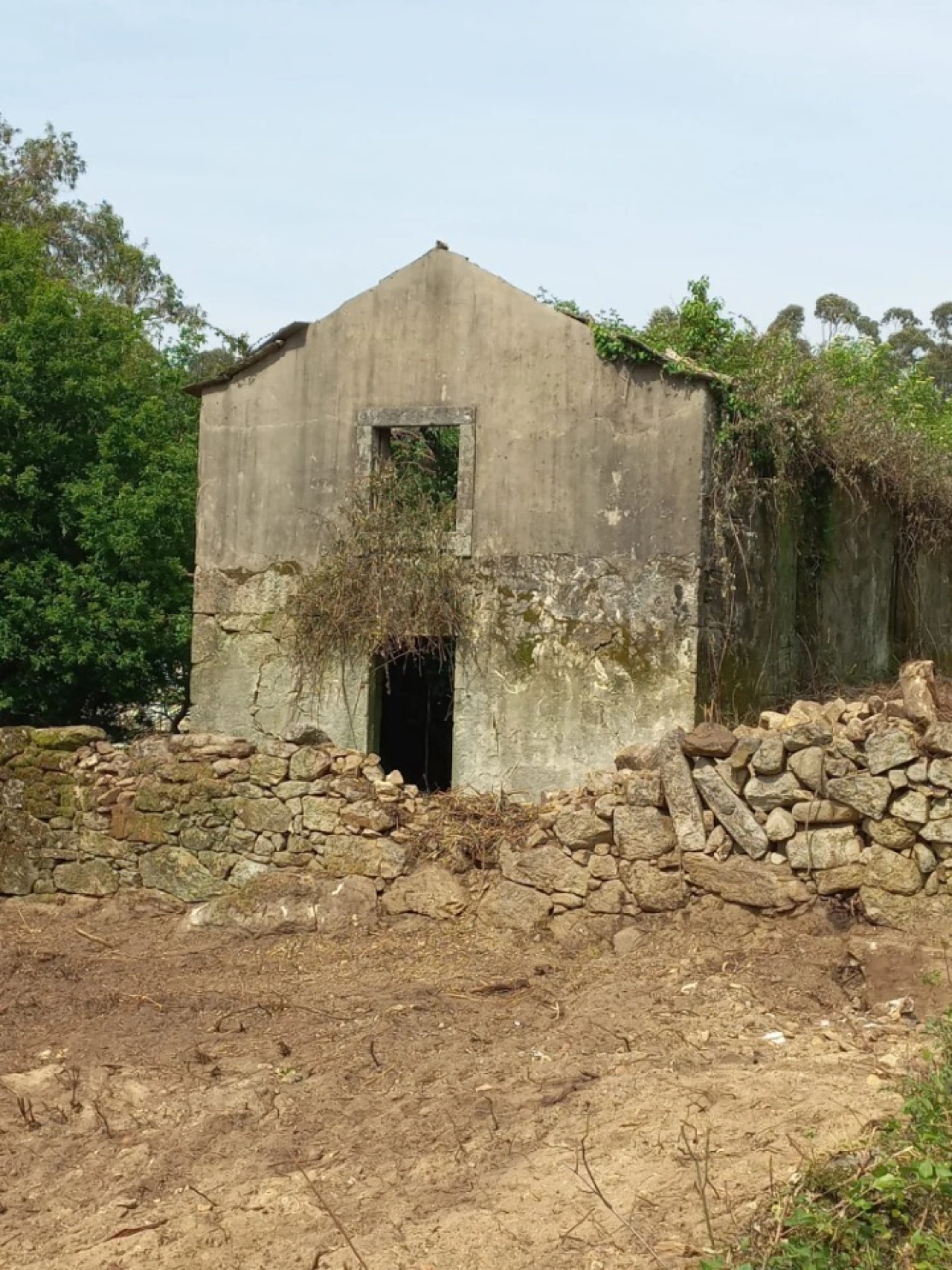 Terreno para Venda em Escariz Foto 6