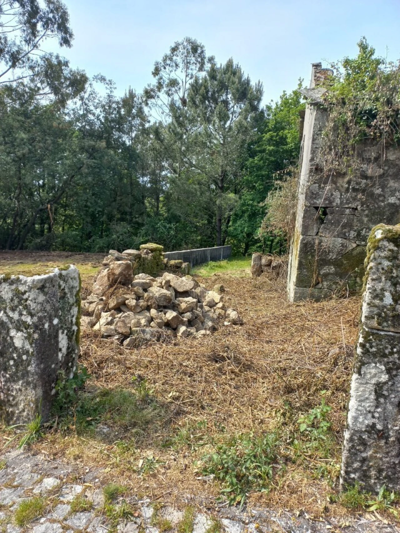 Terreno para Venda em Escariz Foto 13