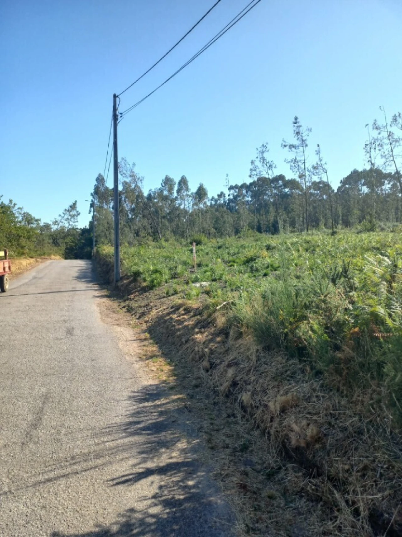Terreno para Venda em Escariz Foto 1