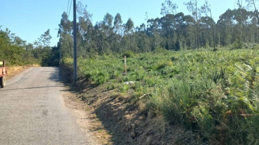 Terreno para Venda em Escariz