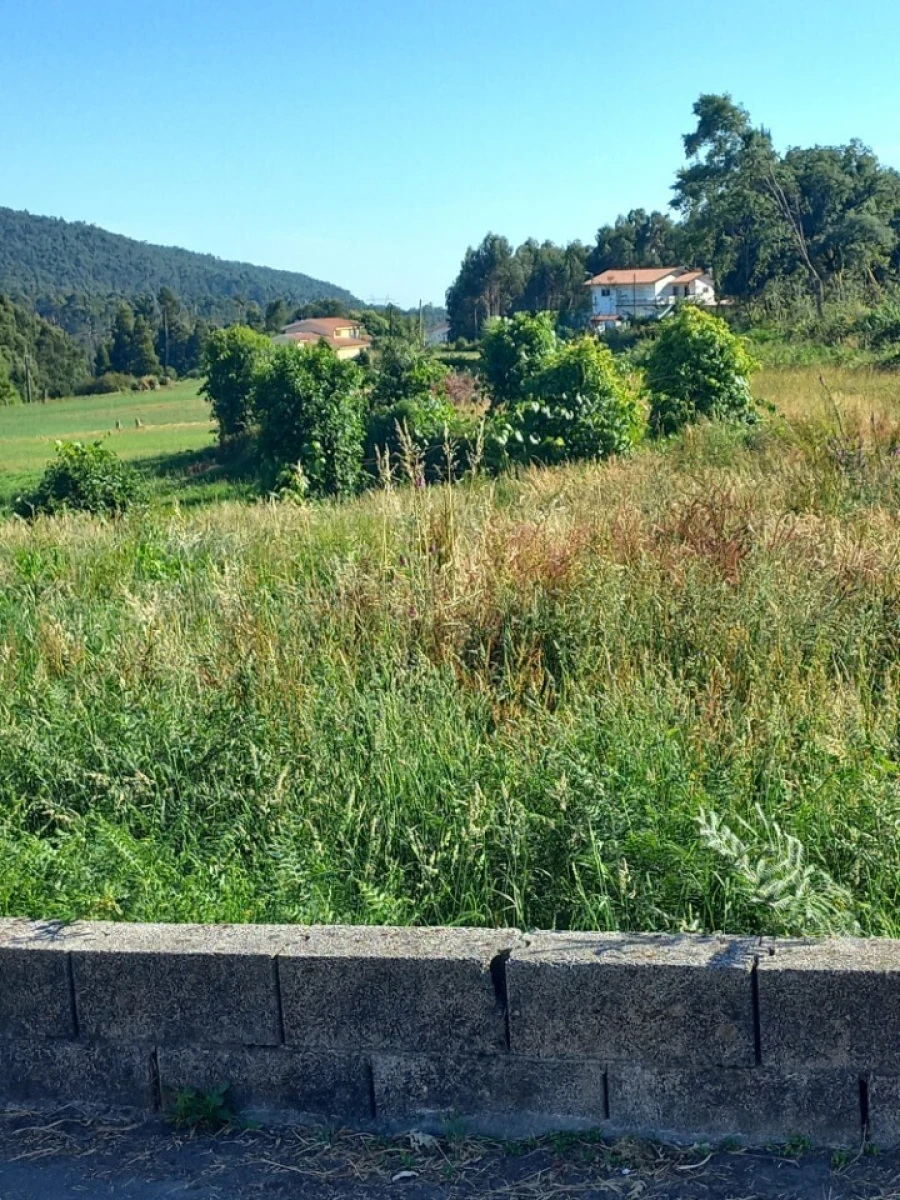 Terreno para Venda em Escariz
