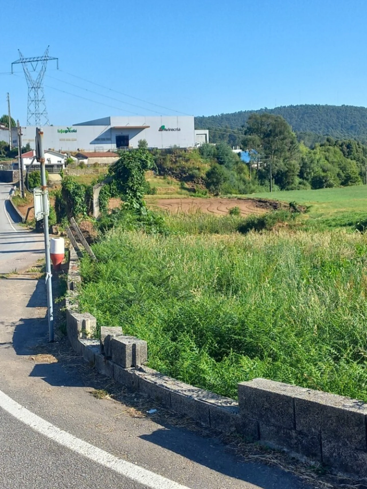 Terreno para Venda em Escariz Foto 4