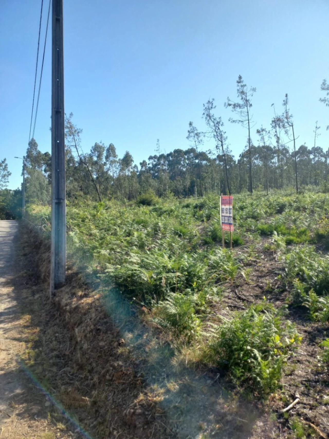 Terreno para Venda em Escariz Foto 3