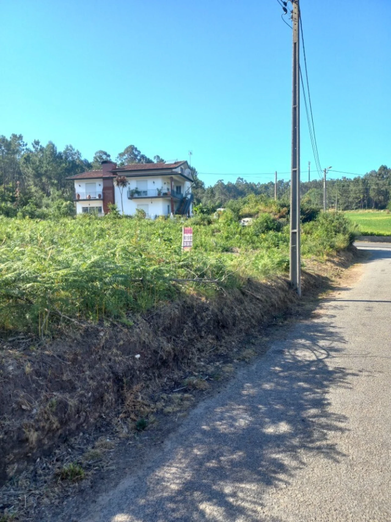 Terreno para Venda em Escariz Foto 5