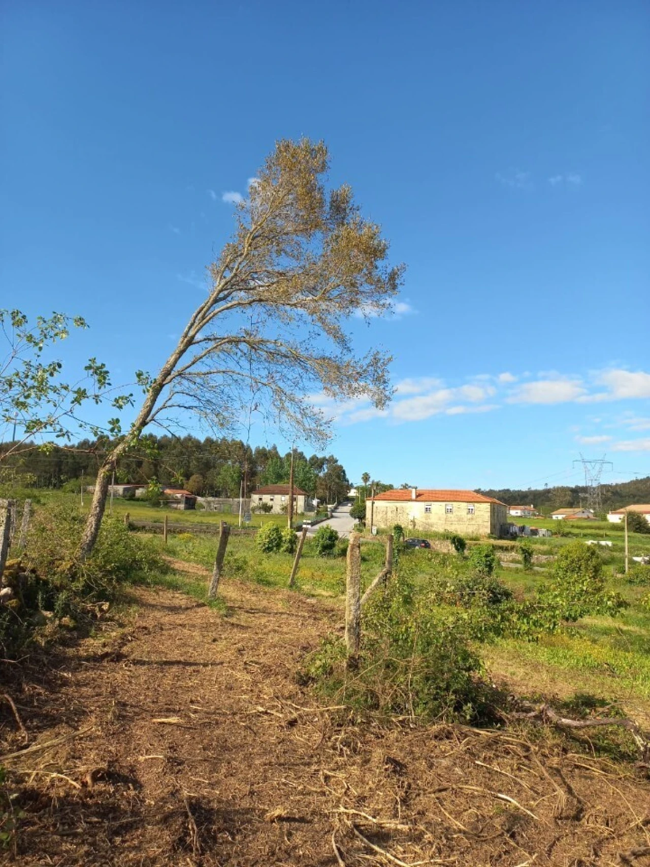 Terreno para Venda em Escariz Foto 9