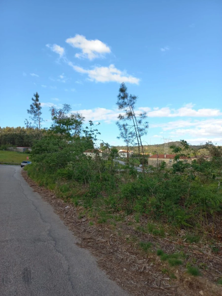 Terreno para Venda em Escariz Foto 7