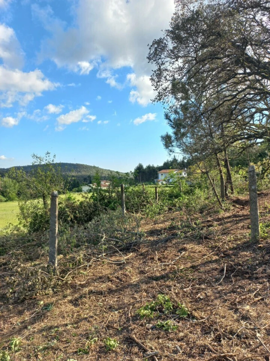 Terreno para Venda em Escariz Foto 8