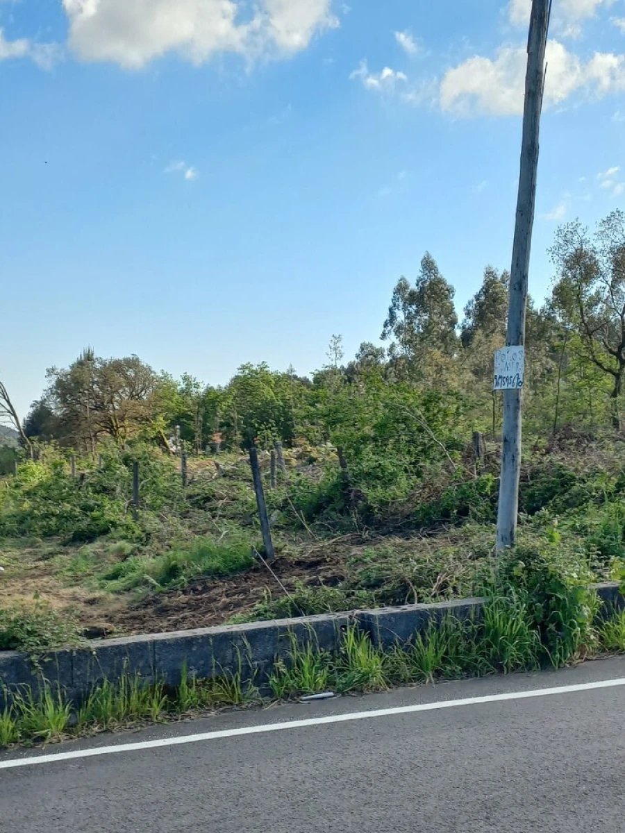 Terreno para Venda em Escariz Foto 10