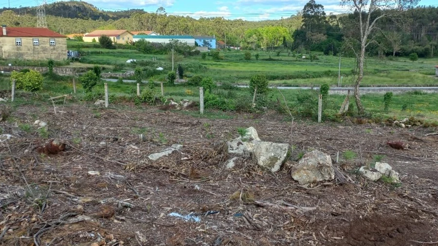 Terreno para Venda em Escariz