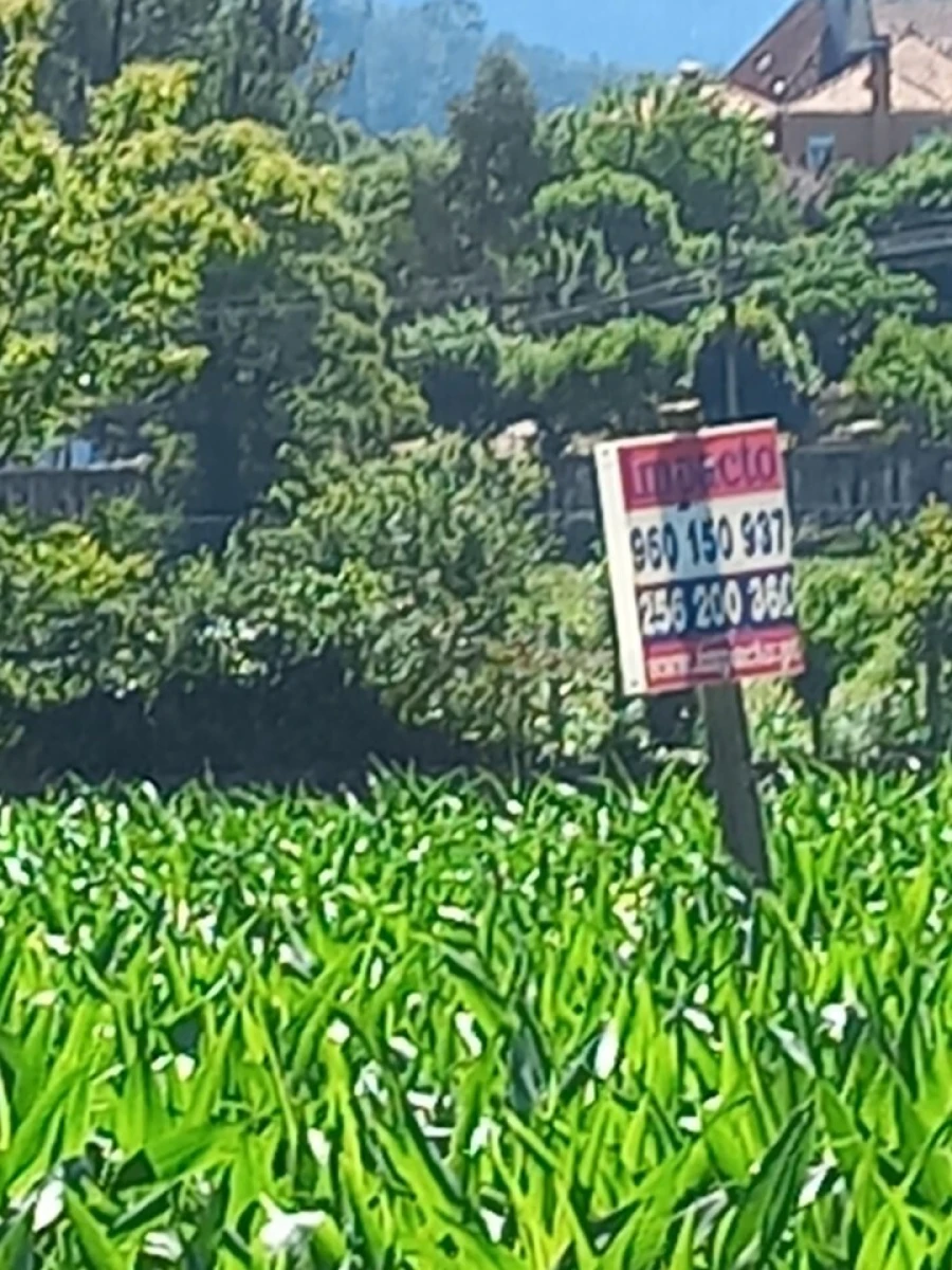 Terreno para Venda em Escariz Foto 5