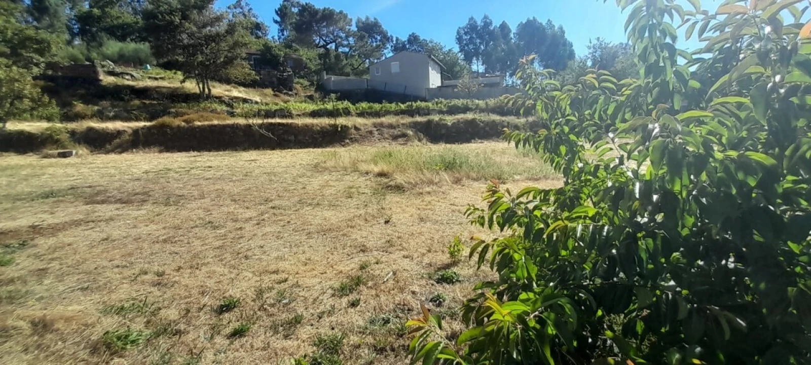 Terreno para Venda em Couto de Esteves Foto 3
