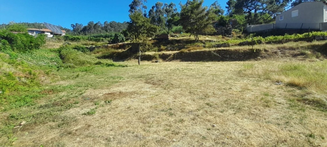 Terreno para Venda em Couto de Esteves Foto 4