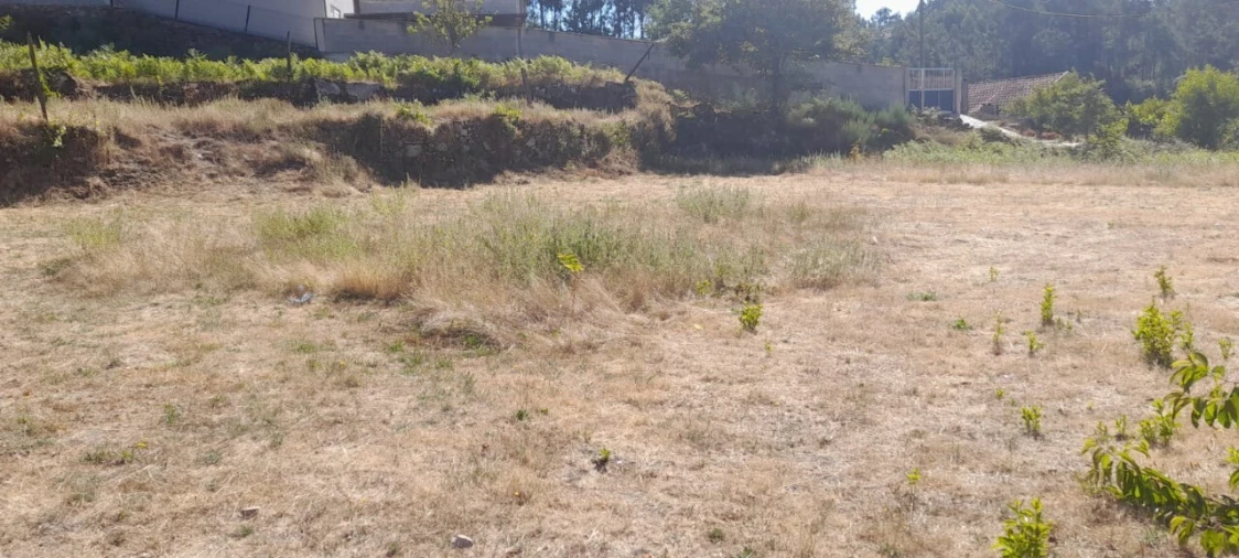 Terreno para Venda em Couto de Esteves Foto 5