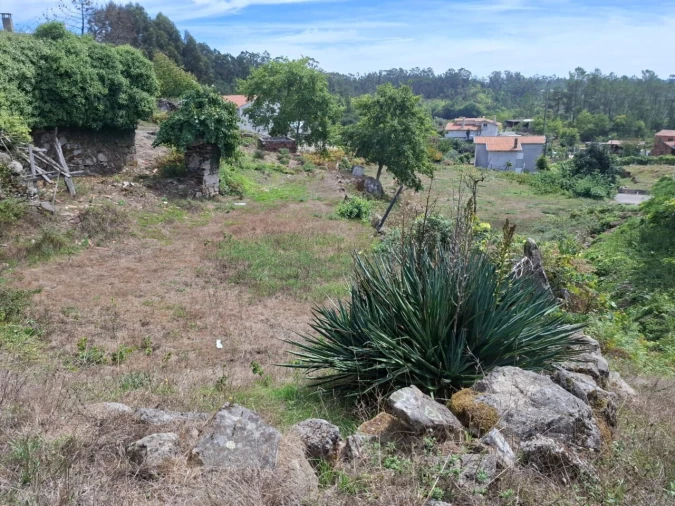 Terreno para Venda em Couto de Esteves Foto 10