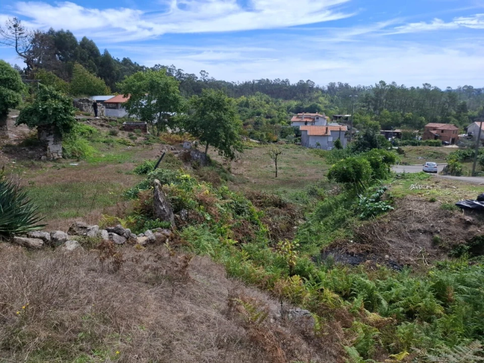 Terreno para Venda em Couto de Esteves Foto 6