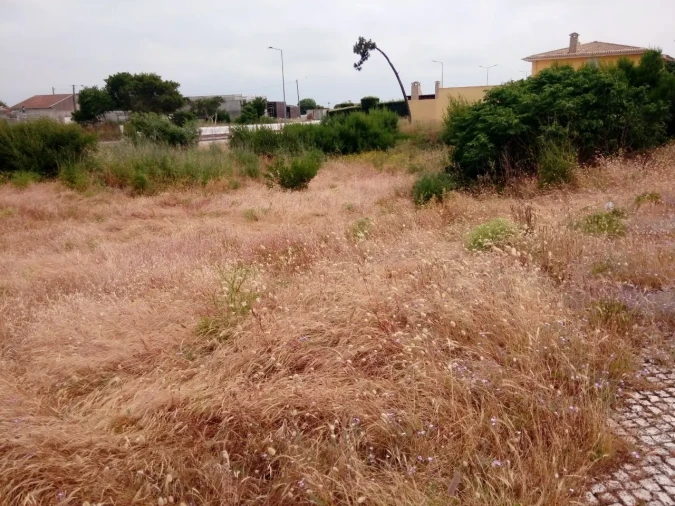 Terreno para Venda em Torreira Foto 8