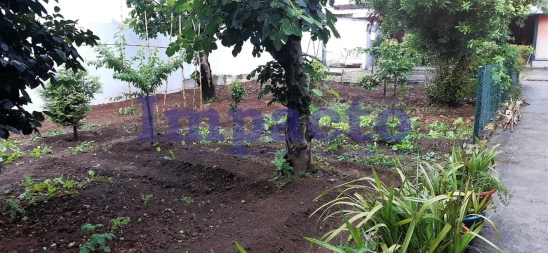 Terreno para Venda em São João da Madeira Foto 2