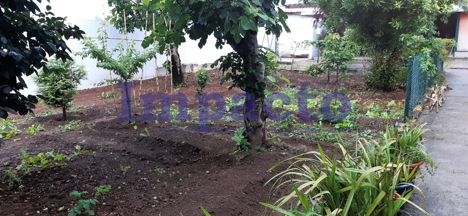 Terreno para Venda em São João da Madeira Foto 2