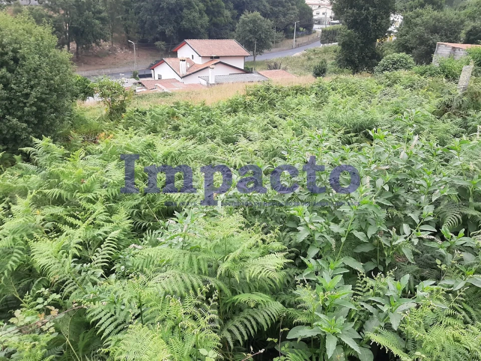 Terreno para Venda em São Roque Foto 8