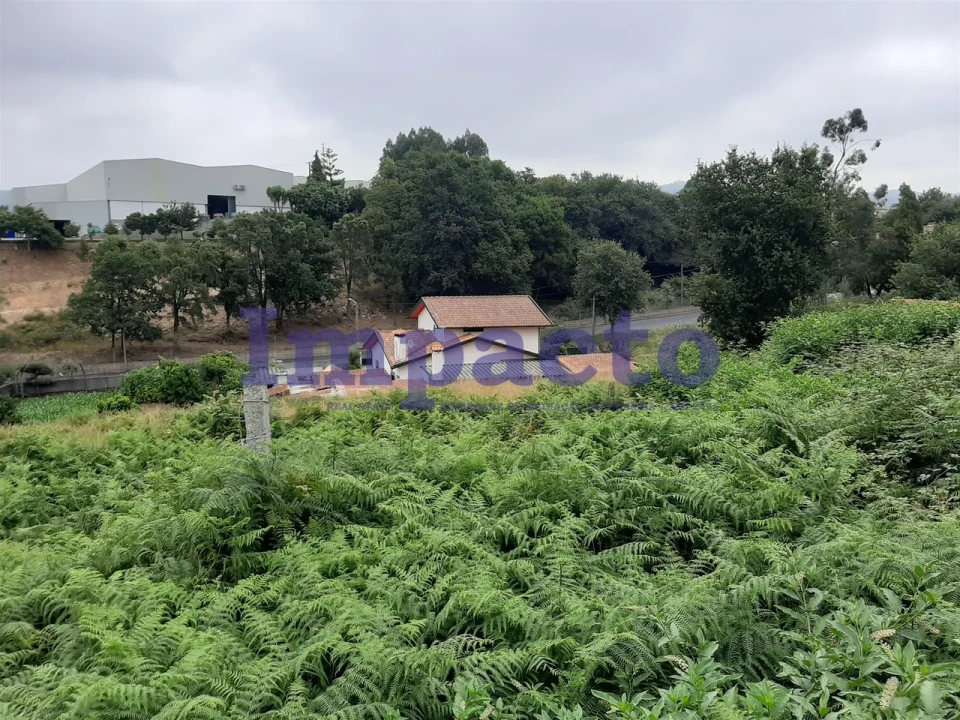 Terreno para Venda em São Roque Foto 9