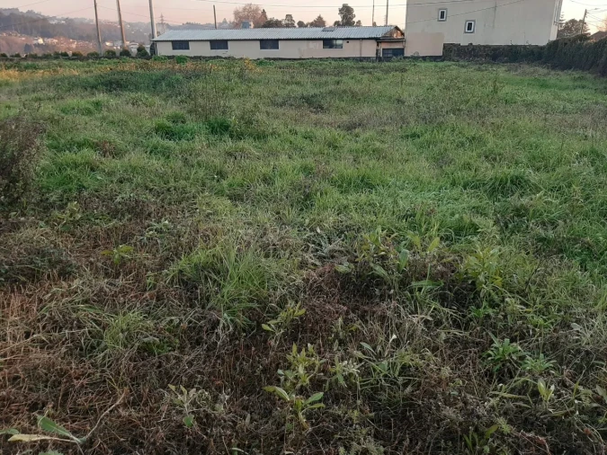 Terreno para Venda em Vila de Cucujães Foto 6