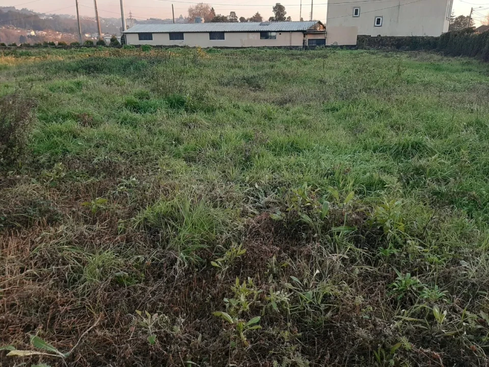 Terreno para Venda em Vila de Cucujães Foto 6