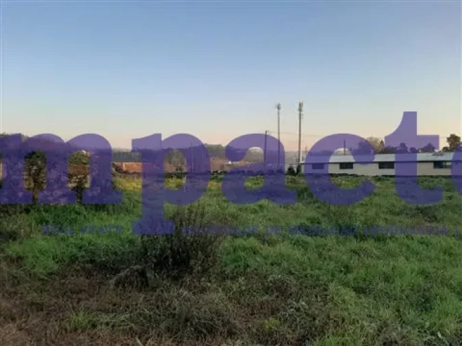 Terreno para Venda em Vila de Cucujães Foto 20