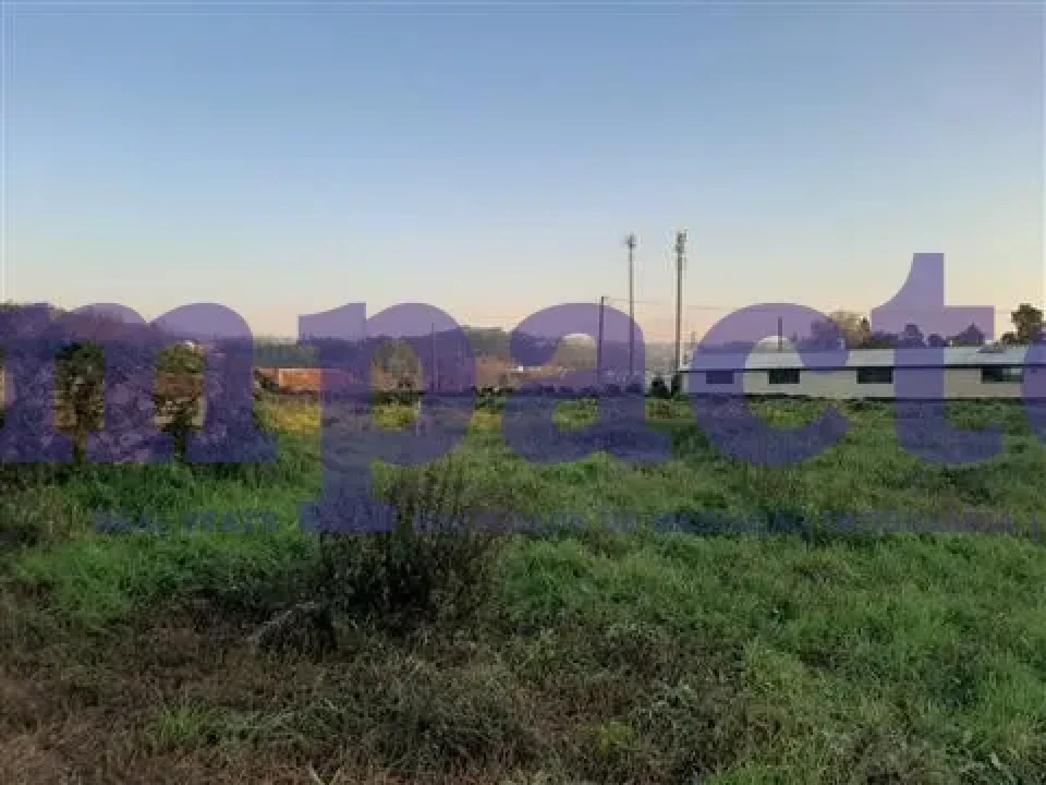 Terreno para Venda em Vila de Cucujães Foto 13