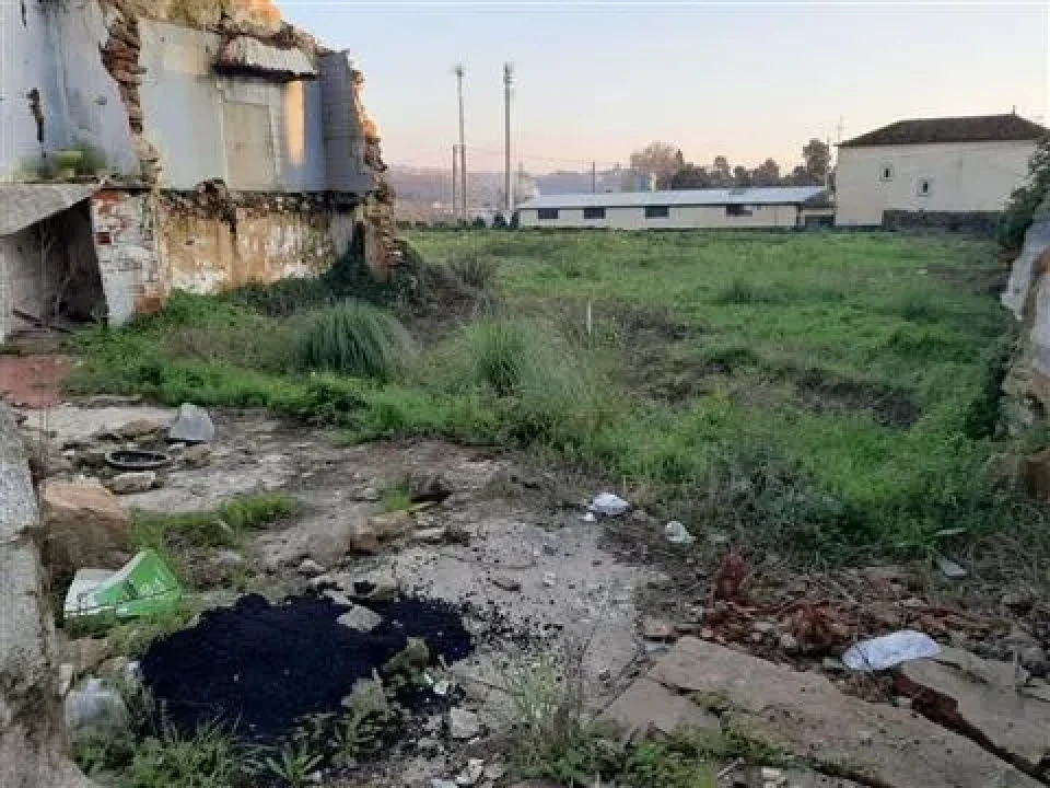 Terreno para Venda em Vila de Cucujães Foto 4