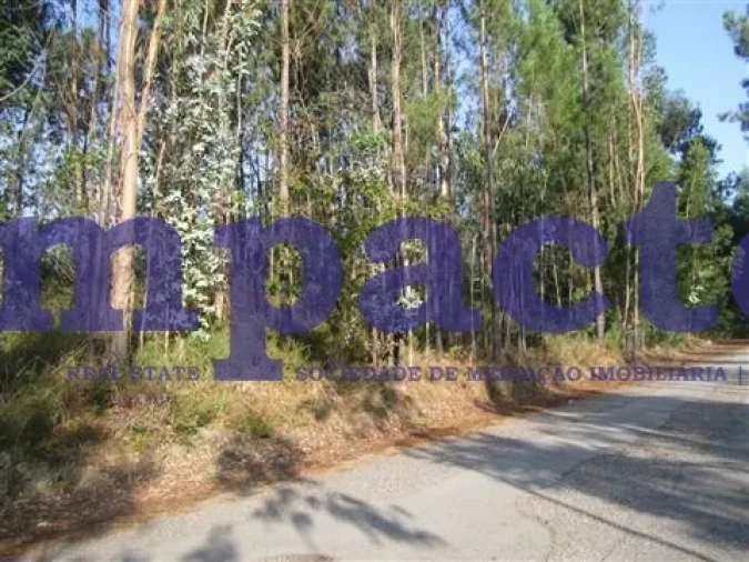 Terreno para Venda em Caldas de São Jorge e Pigeiros Foto 5