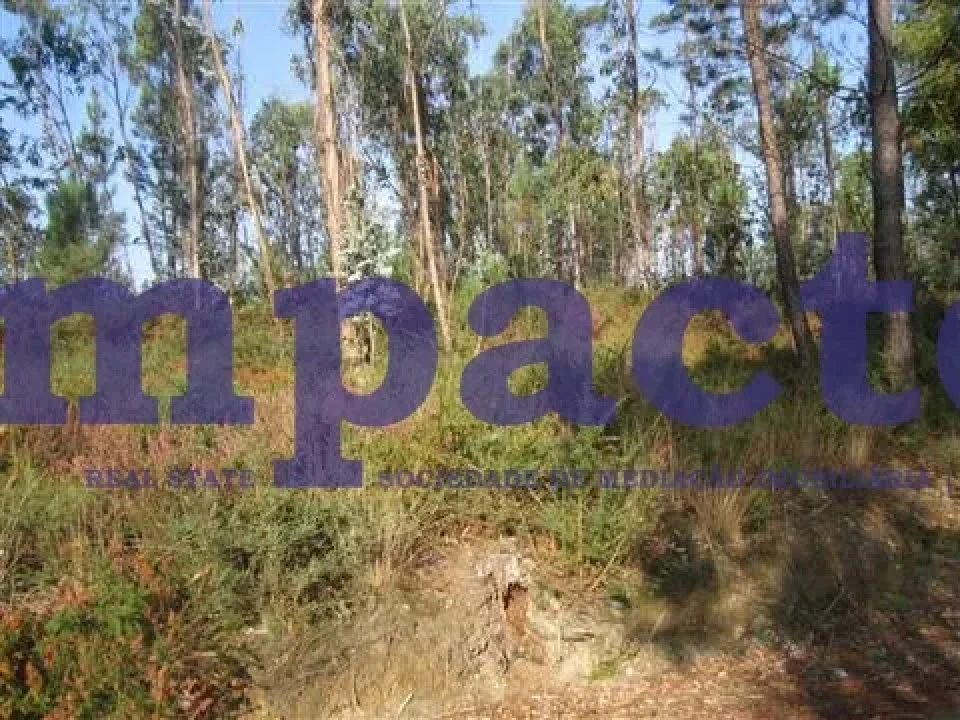 Terreno para Venda em Caldas de São Jorge e Pigeiros Foto 2