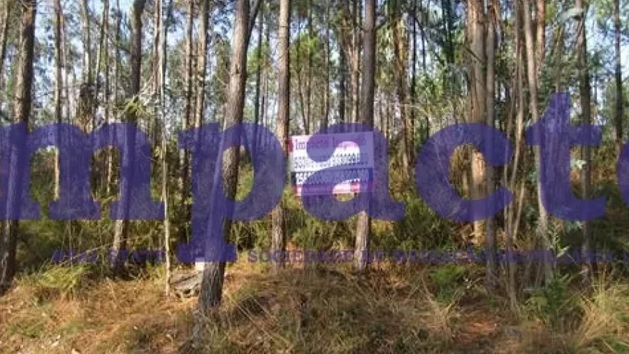 Terreno para Venda em Caldas de São Jorge e Pigeiros
