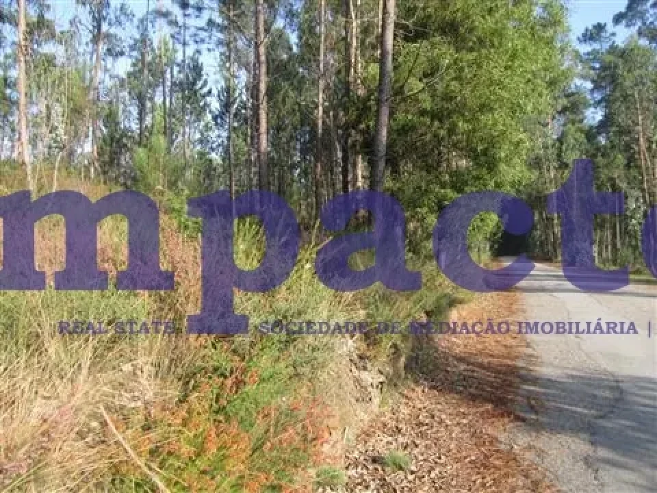 Terreno para Venda em Caldas de São Jorge e Pigeiros Foto 3