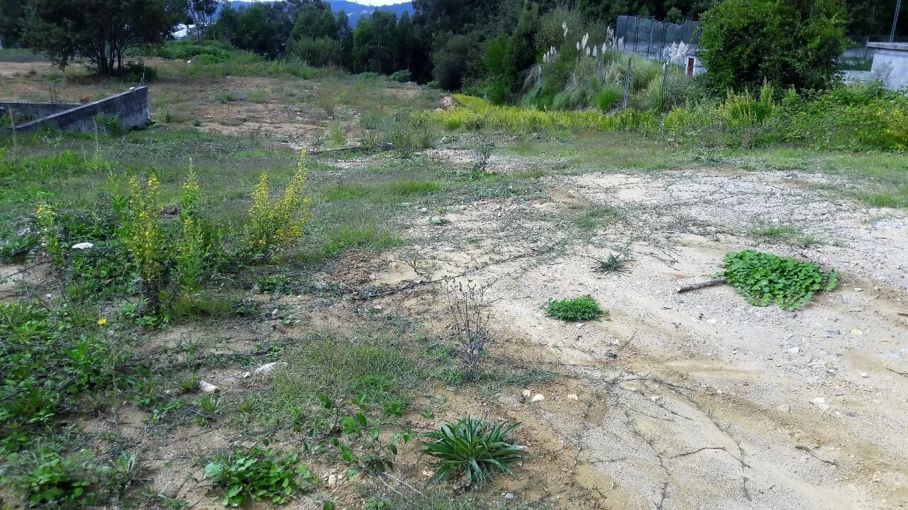 Terreno para Venda em O. Azeméis, Riba-Ul, Ul, Macinhata Seixa, Madail Foto 1