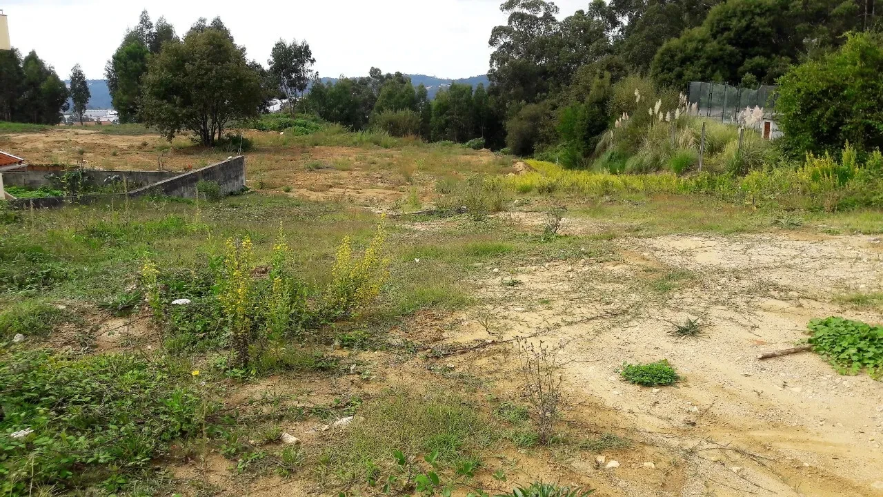 Terreno para Venda em O. Azeméis, Riba-Ul, Ul, Macinhata Seixa, Madail Foto 2