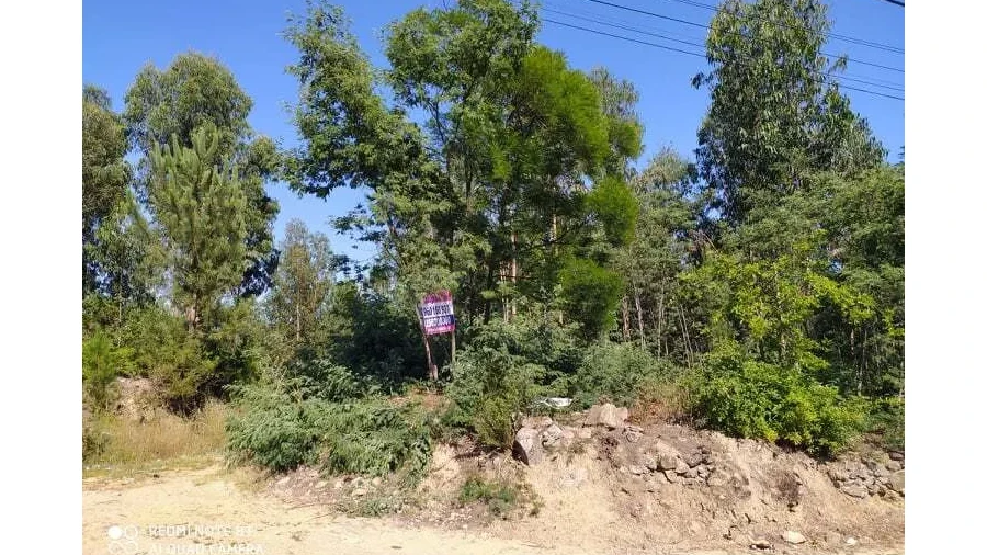 Terreno para Venda em Carregosa