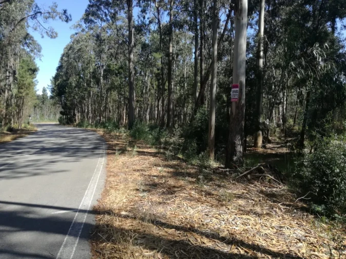 Terreno para Venda em Avanca Foto 4