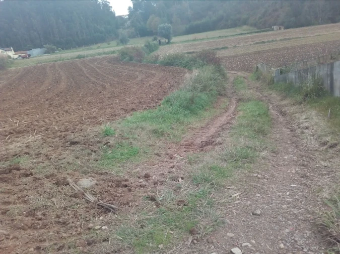 Terreno para Venda em Vila de Cucujães Foto 2