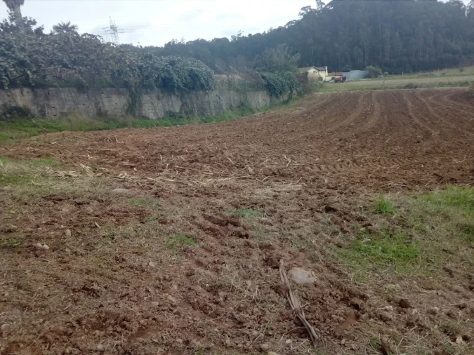 Terreno para Venda em Vila de Cucujães Foto 3