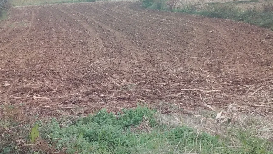 Terreno para Venda em Vila de Cucujães